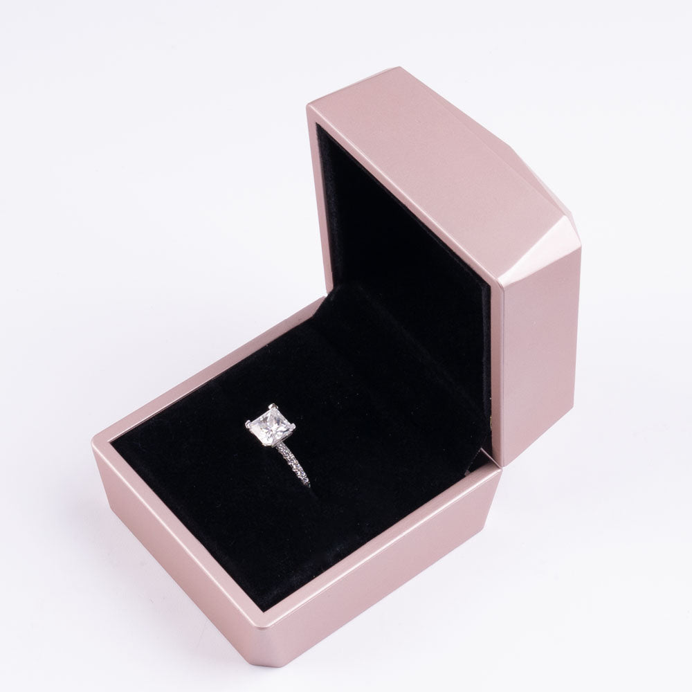 Stunna Lady 1CT 2CT Princess Cut Paved Moissanite Ring